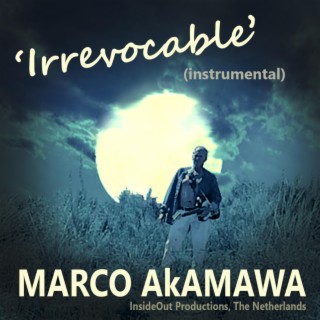 Irrevocable (Instrumental)