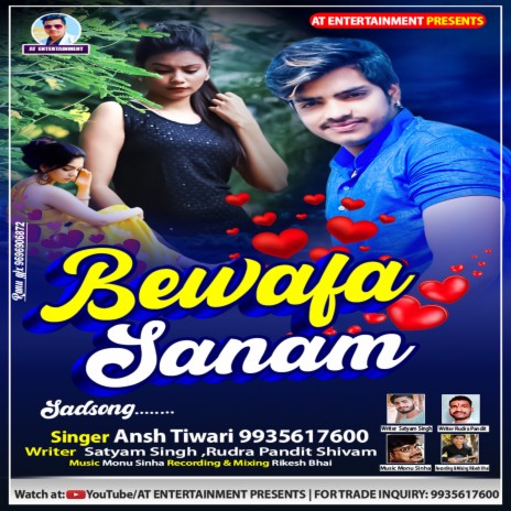 Bewafa Sanam | Boomplay Music