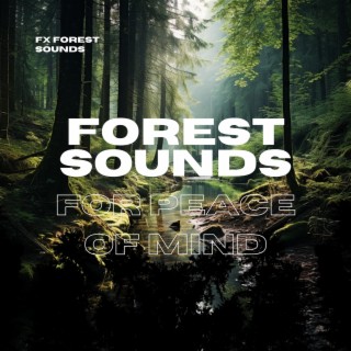 Forest Sounds for Peace of Mind