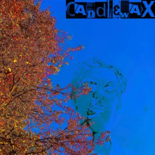 Candlewax