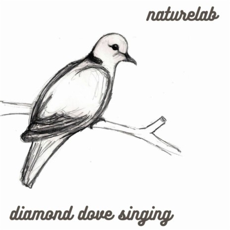 Diamond Dove Singing | Boomplay Music