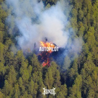 Autopilot lyrics | Boomplay Music