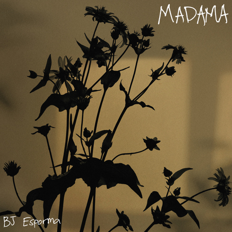 Madama | Boomplay Music