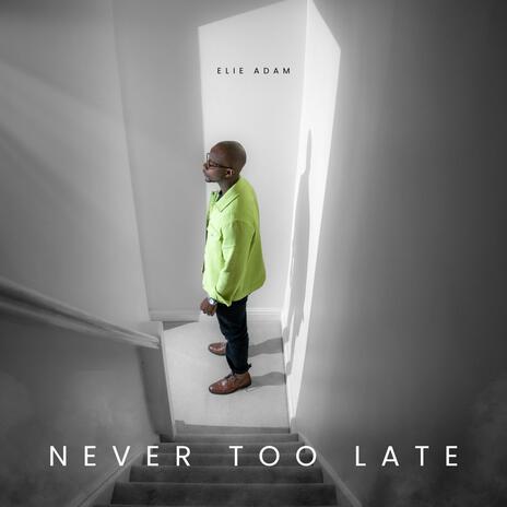 Never Too Late | Boomplay Music