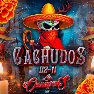 CACHUDOS