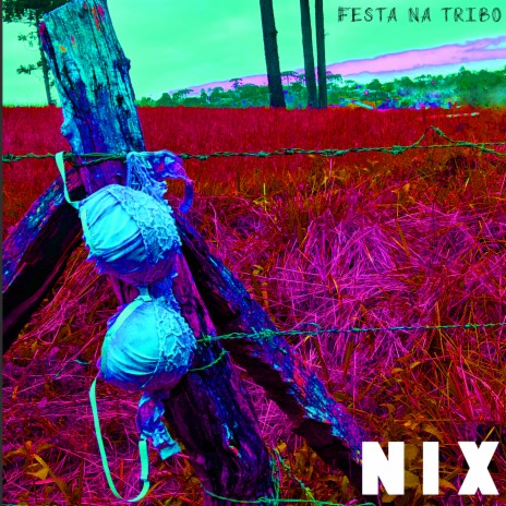 Festa na Tribo | Boomplay Music