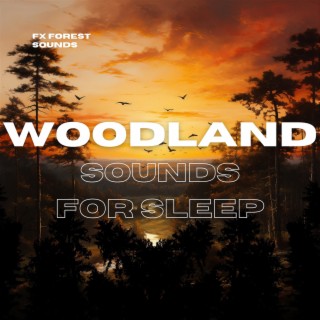 Woodland Sounds for Sleep