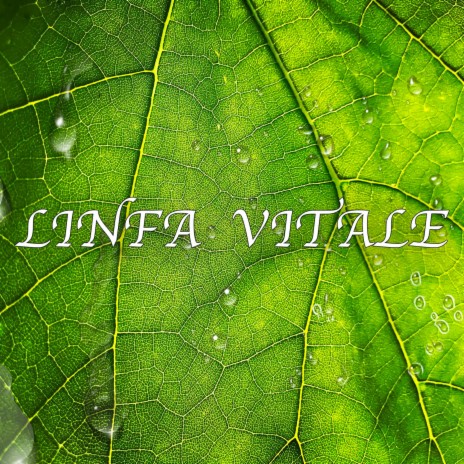 Linfa Vitale | Boomplay Music