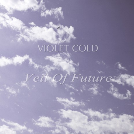 Veil of Future | Boomplay Music