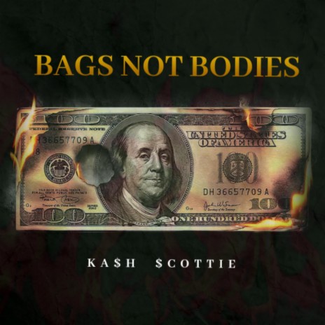 Bags not bodies | Boomplay Music