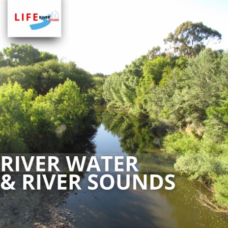 Natural River Sounds ft. Nature Lab & In Beautiful Nature | Boomplay Music