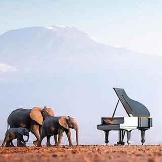 Afro Piano