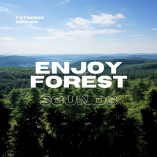 Enjoy Forest Sounds