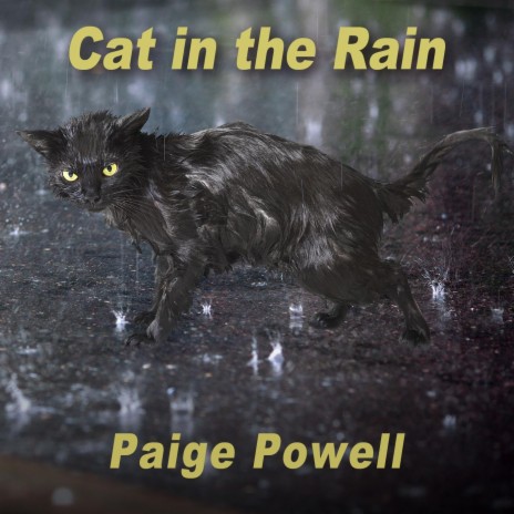 Cat in the Rain | Boomplay Music