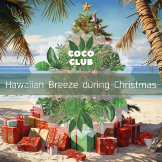 Hawaiian Breeze During Christmas