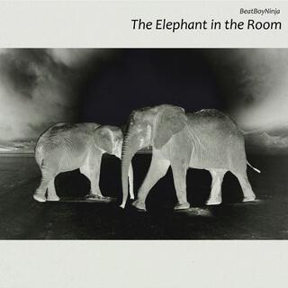 The Elephant in the Room