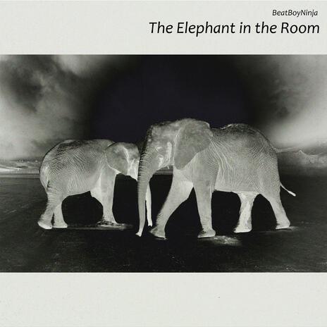 The Elephant in the Room | Boomplay Music