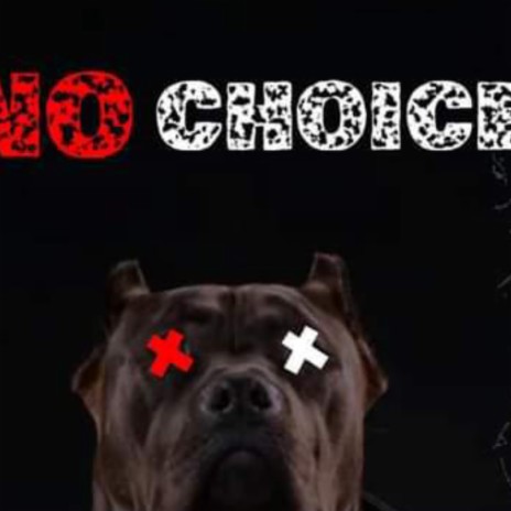 No Choice