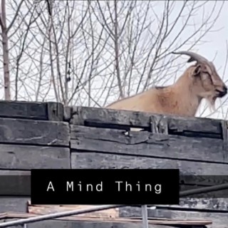 A Mind Thing lyrics | Boomplay Music