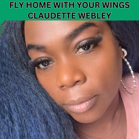 Fly Home with Your Wings | Boomplay Music