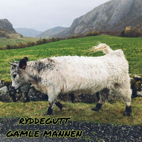 GAMLE MANNEN | Boomplay Music