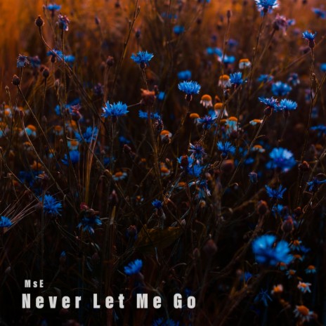 Never Let Me Go | Boomplay Music