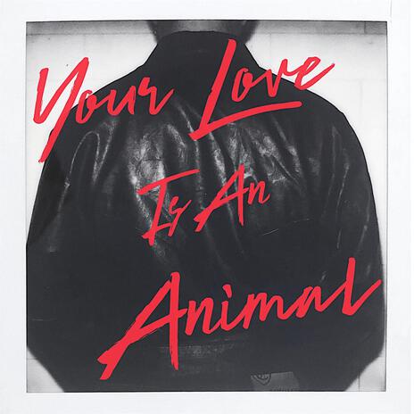 Your Love Is An Animal | Boomplay Music