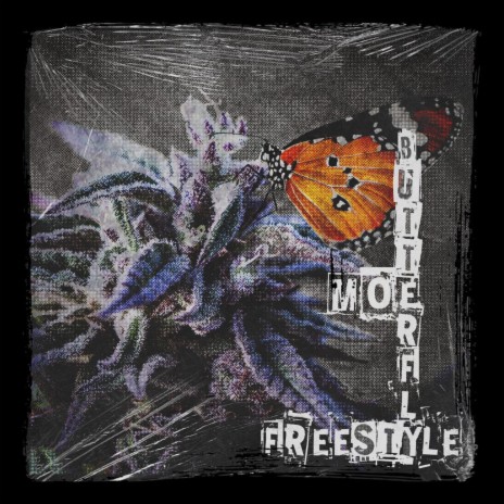 Moe Butterfly Freestyle