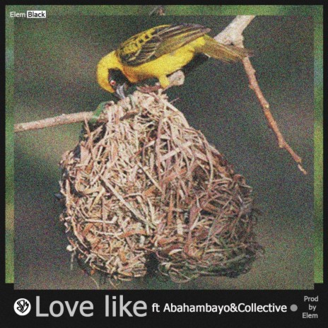 Love Like ft. Abahambayo | Boomplay Music