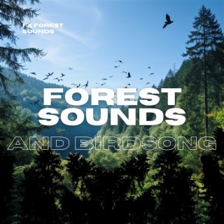 Forest Sounds and Birdsong