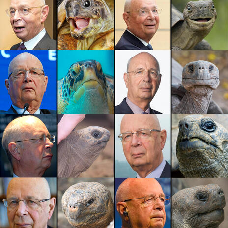 Klaus Schwab Looks Like a Turtle | Boomplay Music