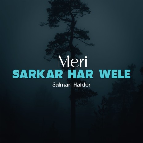 Meri Sarkar Har Wele | Boomplay Music