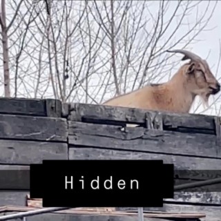 Hidden lyrics | Boomplay Music