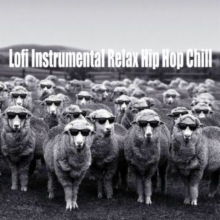 Lofi Instrumental Relax Hip Hop Chill