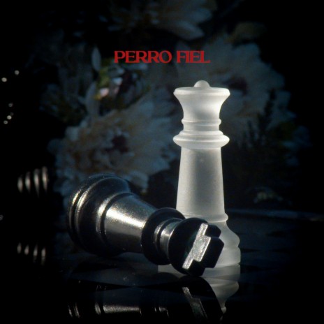 Perro Fiel | Boomplay Music