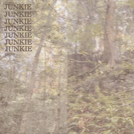 Junkie | Boomplay Music