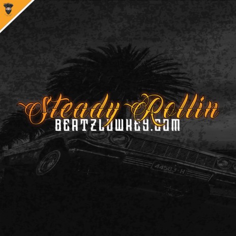 Steady Rollin | Boomplay Music