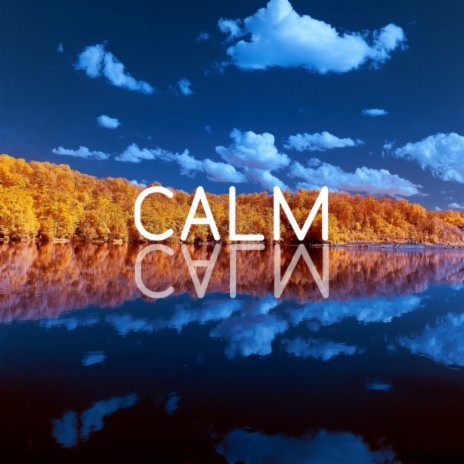 Easy Reflections ft. Calm Music Zone & Healing Yoga Meditation Music Consort | Boomplay Music