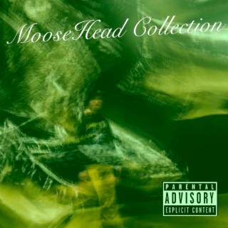 MooseHead Collection