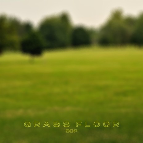 Grass Floor | Boomplay Music