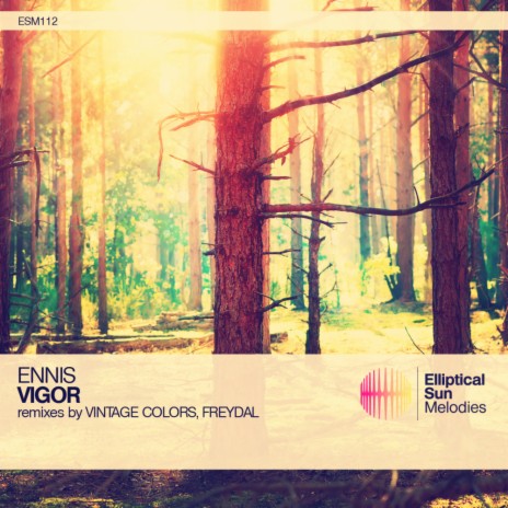 Vigor (Vintage Colors Remix) | Boomplay Music