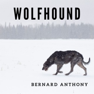 Wolfhound