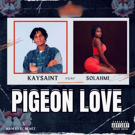 Pigeon Love ft. Solahmi | Boomplay Music