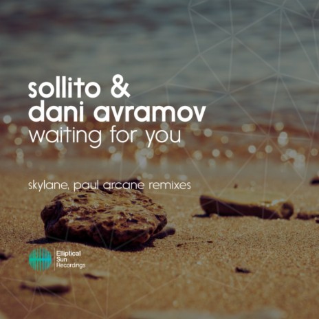 Waiting For You (Skylane Remix) ft. Dani Avramov | Boomplay Music