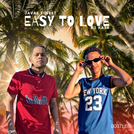 Easy To Love - Instrumental ft. DJ Raja | Boomplay Music