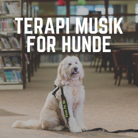 Rig mand handicappet Nedrustning Hunde Musik - Beroligende musik til din hund, Pt. 7 MP3 Download & Lyrics |  Boomplay