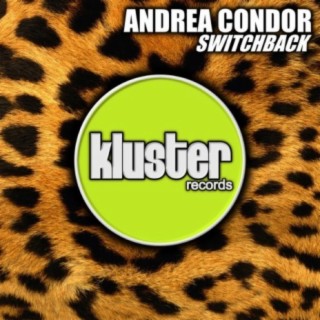 Andrea Condor