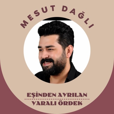 Eşinden Ayrılan Yaralı Ördek | Boomplay Music