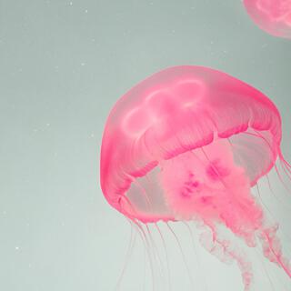 Space Jellyfish