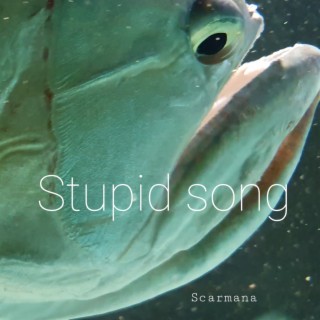 Stupid song